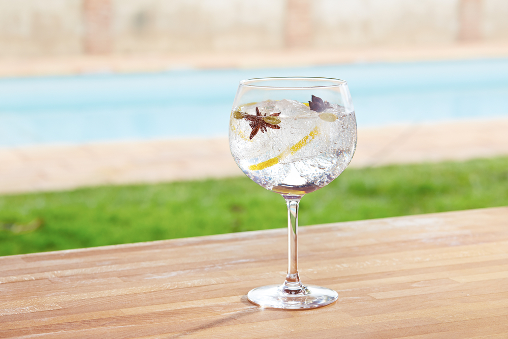 10 do & don'ts voor de perfecte Gin & Tonic Negroni